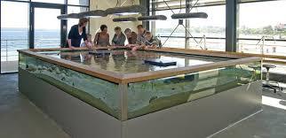 Ostsee Info-Center