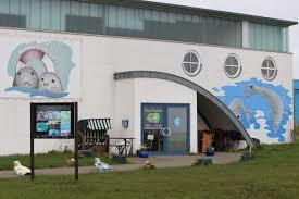 Robbenzentrum Föhr