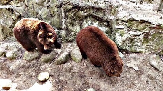 Wildpark Luneburger Heide