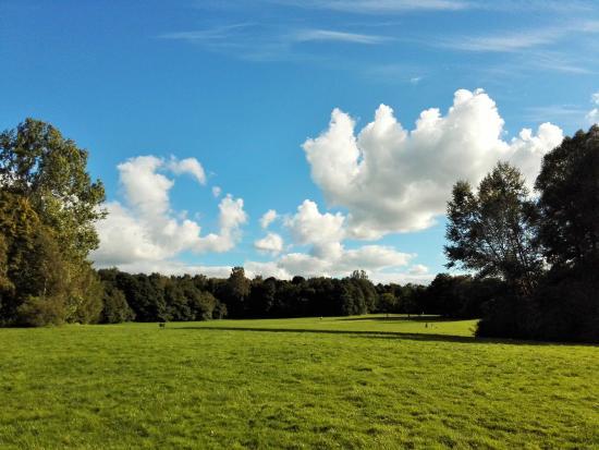 Öjendorfer Park