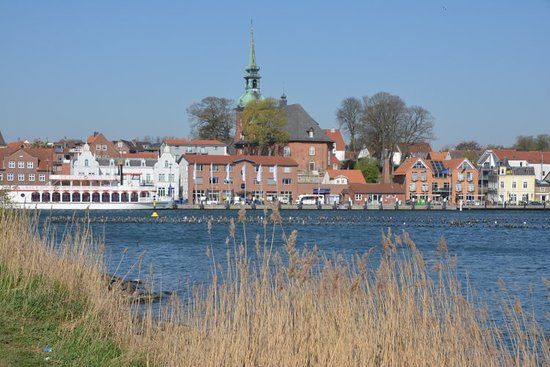 Heringszaun Kappeln