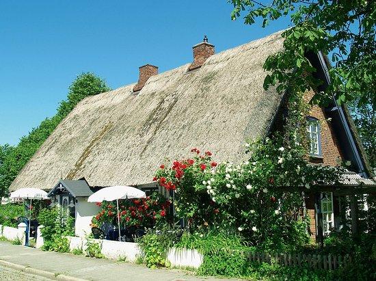 Galerie-Cafe Roerskroog
