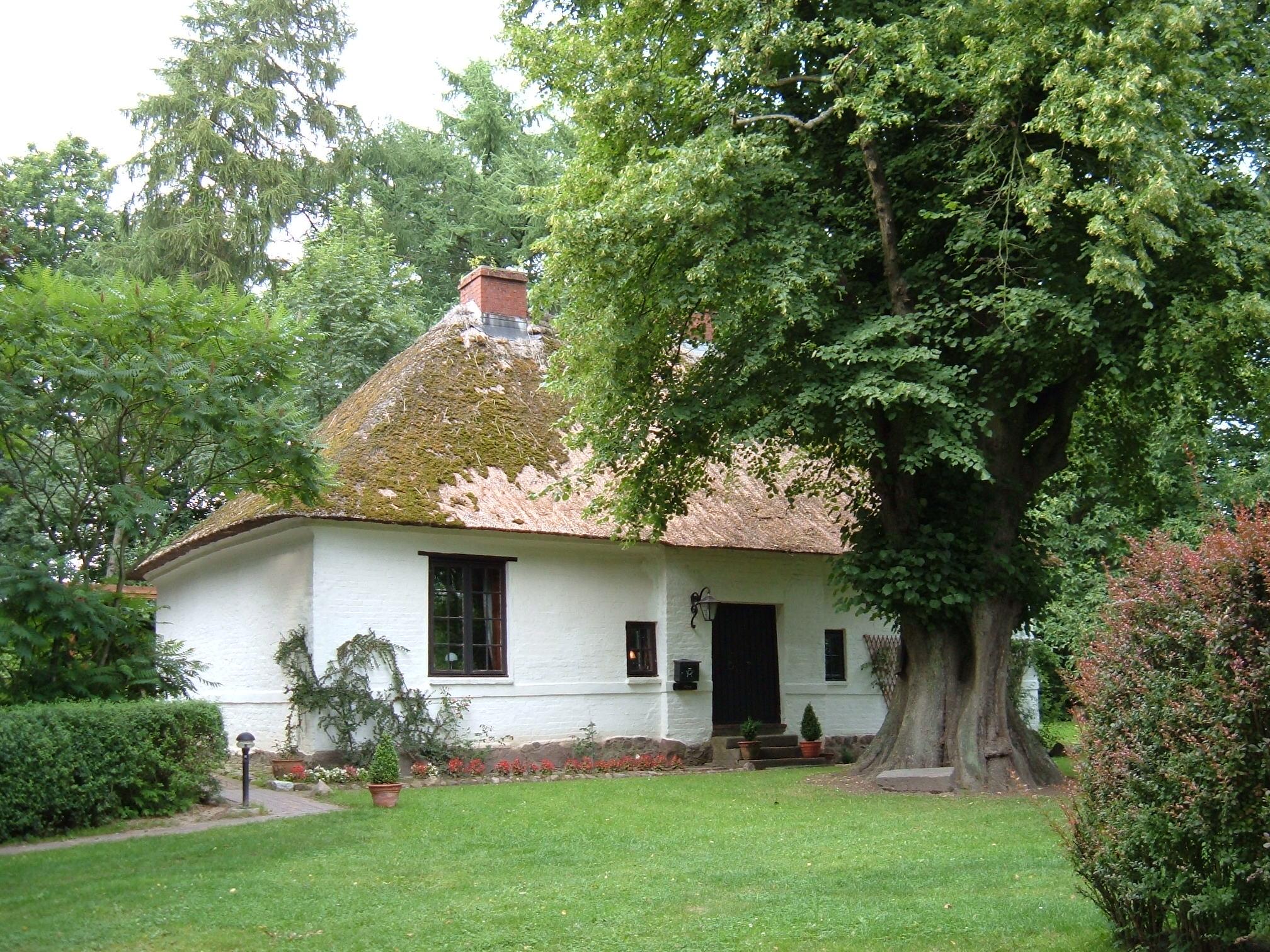 Mennokate