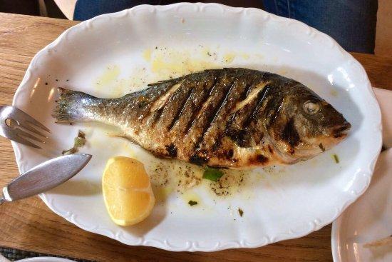 La Piccola