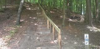 Kollunder Wald