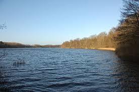 der Schierensee