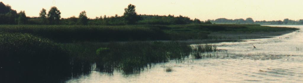 Elbinsel Pagensand