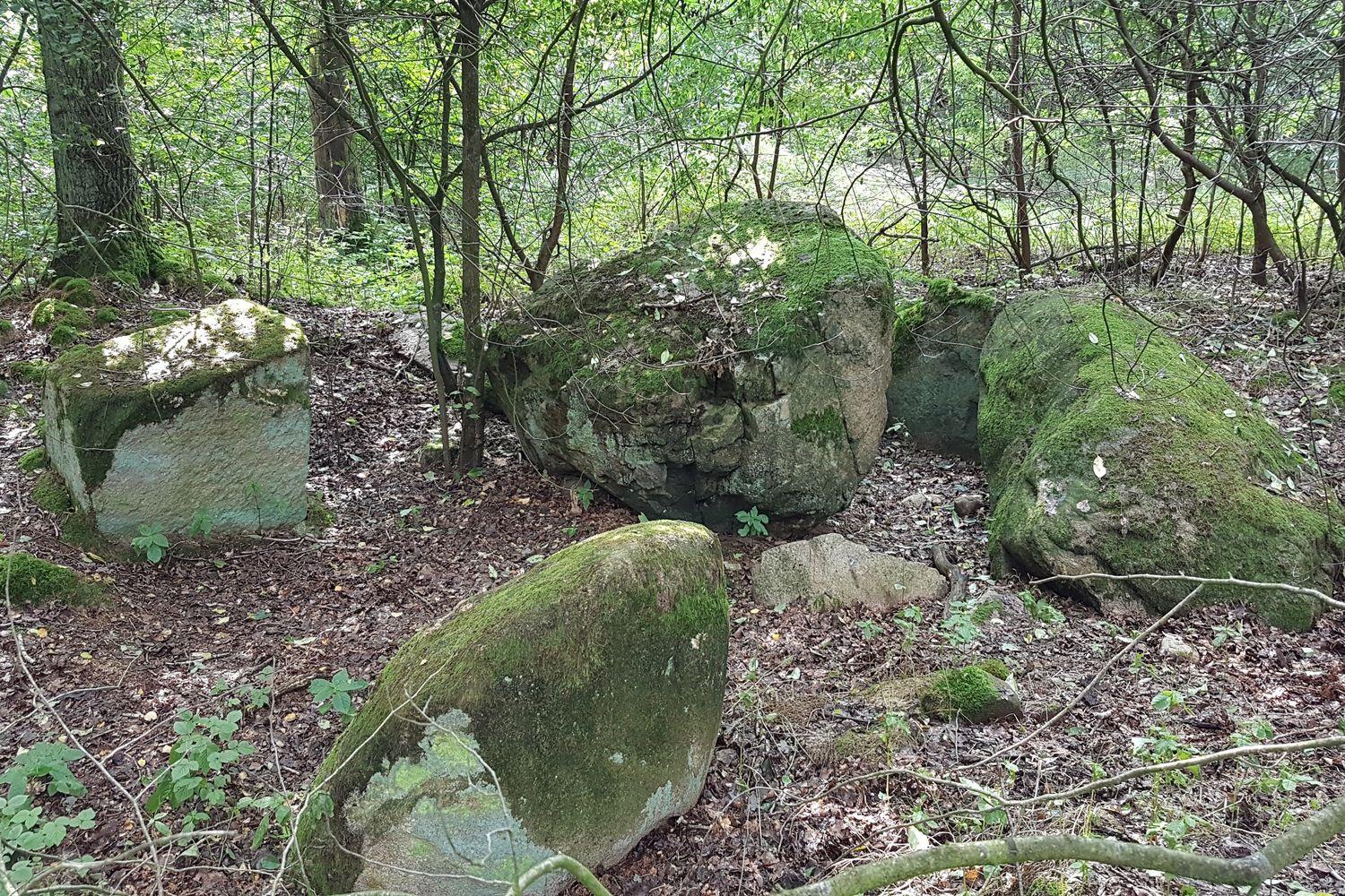 Großsteingrab Wenzendorf