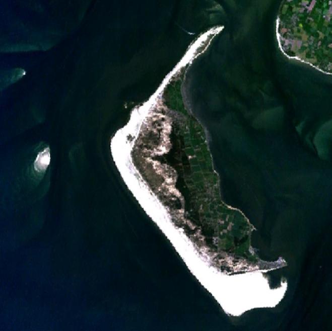 Amrum