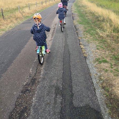 Fahrradverleih Paula Hansen
