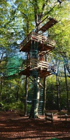Schnurstracks Kletterpark
