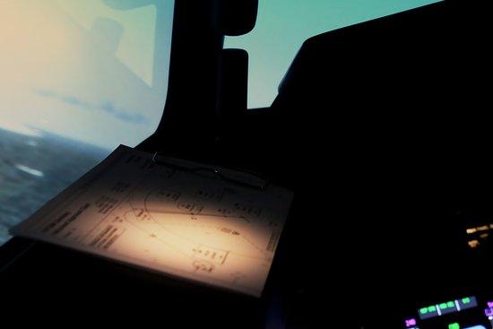Fly Sim Flight