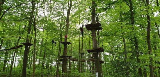Hochseilgarten Hasloh