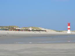 Düne