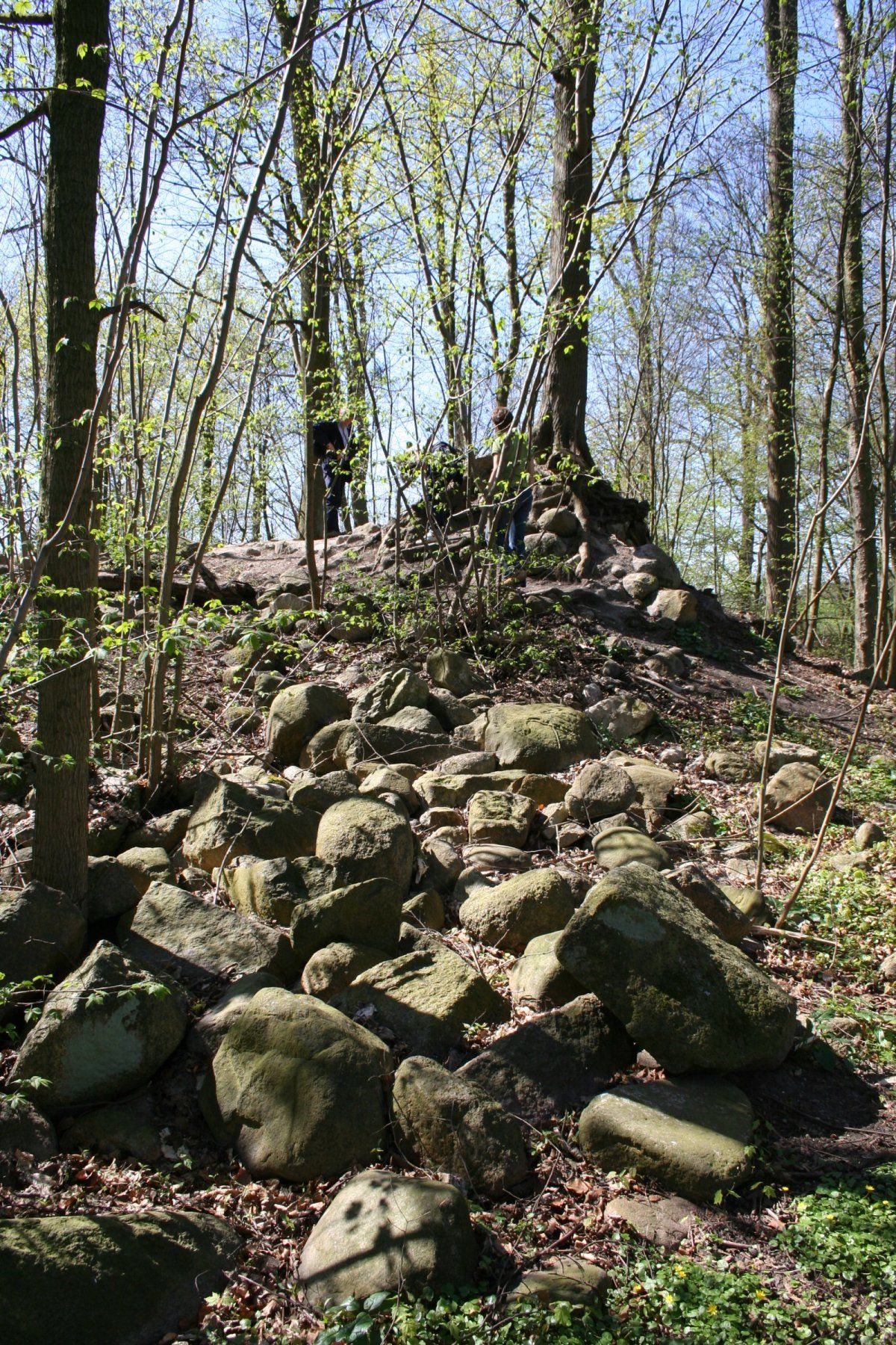 Burg Linau