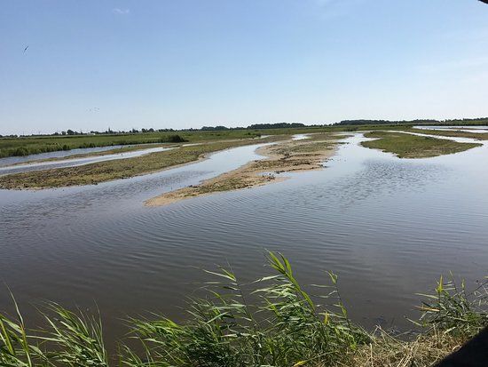 das NABU-Wasservogelreservat Wallnau